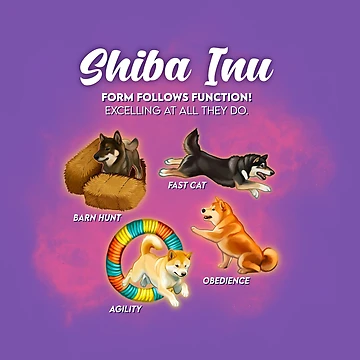 Artwork thumbnail, Shiba Inu -- Form Follows Function! by bawk