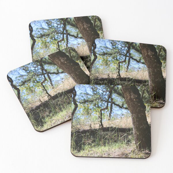 Item preview, Lafferty Ranch Scenery, Petaluma CA designed and sold by Emmaline Jones.