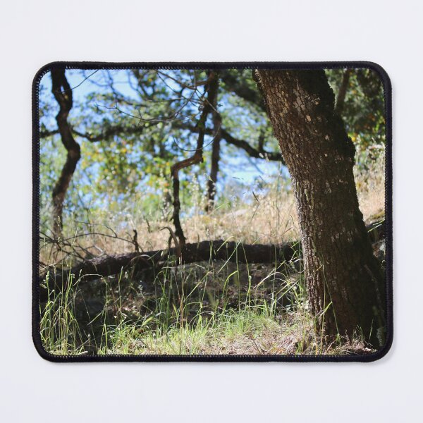 Item preview, Lafferty Ranch Scenery, Petaluma CA designed and sold by Emmaline Jones.