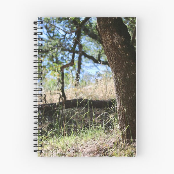 Item preview, Lafferty Ranch Scenery, Petaluma CA designed and sold by Emmaline Jones.