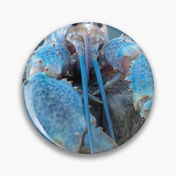 Item preview, Lobber designed and sold by reni0047123.