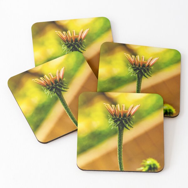 Item preview,  Almost A Cone Flower designed and sold by Kay Brewer.