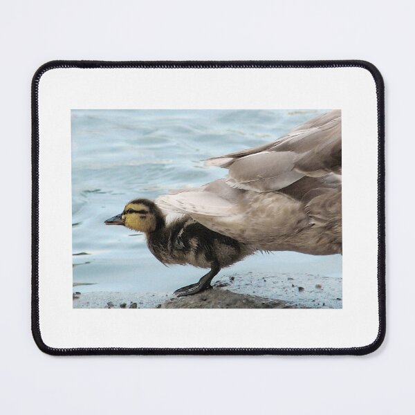 Item preview, Duck Tails designed and sold by Ellen Cotton.