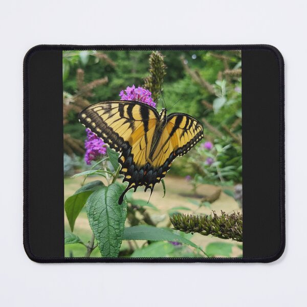 Item preview, Eastern Tiger Swallowtail designed and sold by Blooms4you.