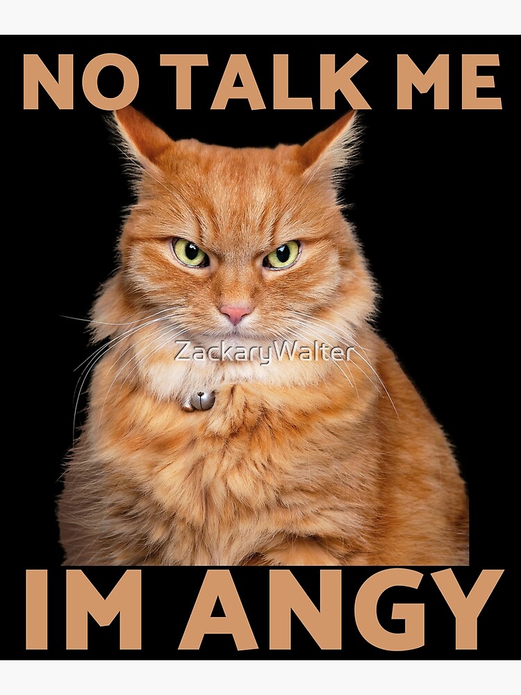 No Talk Me I'm Angry ,cute cat , angry cat , kitty Mouse Pad