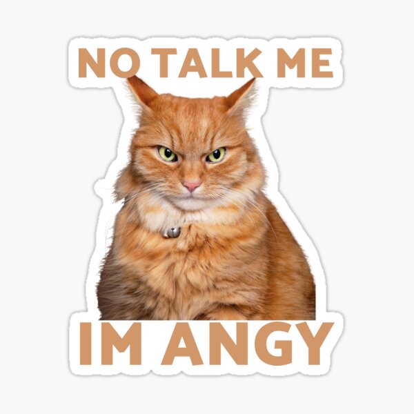 No Talk Me I'm Angry ,cute cat , angry cat , kitty' Sticker