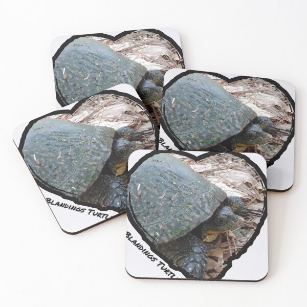 Item preview, Blandings Turtle designed and sold by OutDoorTherapy.