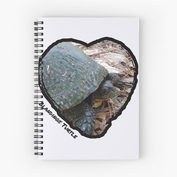 Item preview, Blandings Turtle designed and sold by OutDoorTherapy.