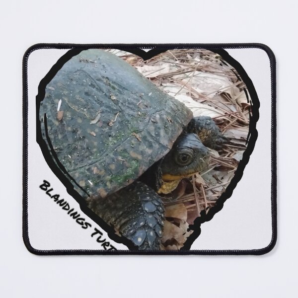 Item preview, Blandings Turtle designed and sold by OutDoorTherapy.