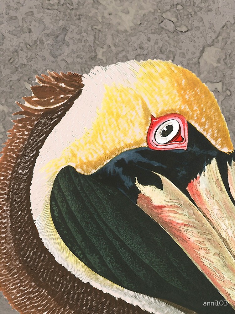 If anyone can , Pelican by anni103