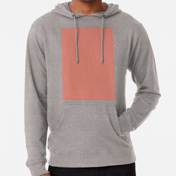 Terracotta red 2025 hoodie