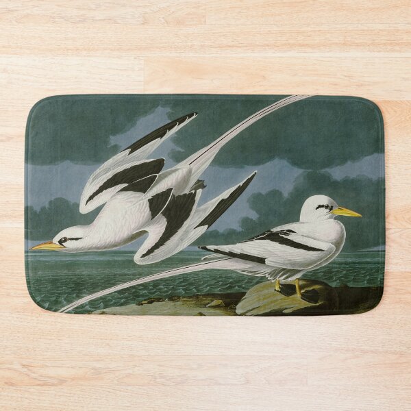 Item preview, Tropic Bird - John James Audubon Birds of America designed and sold by Natural History Prints.