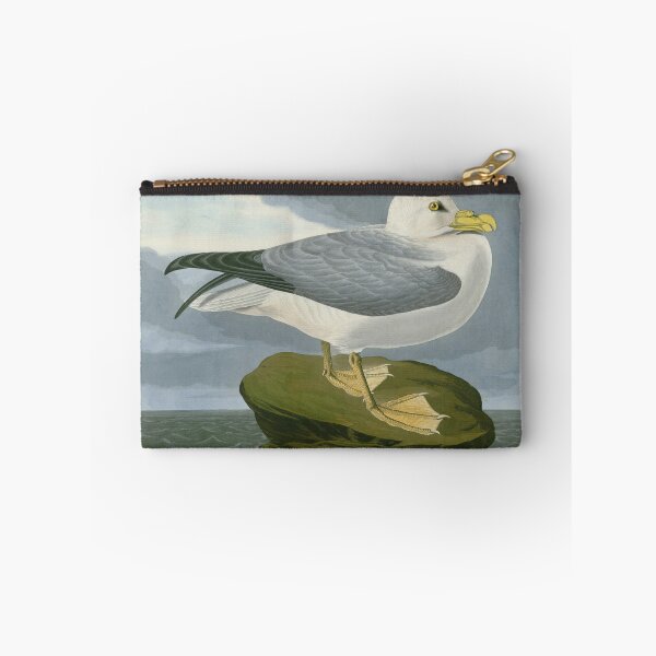 Item preview, Fulmar Petrel - John James Audubon Birds of America designed and sold by Natural History Prints.