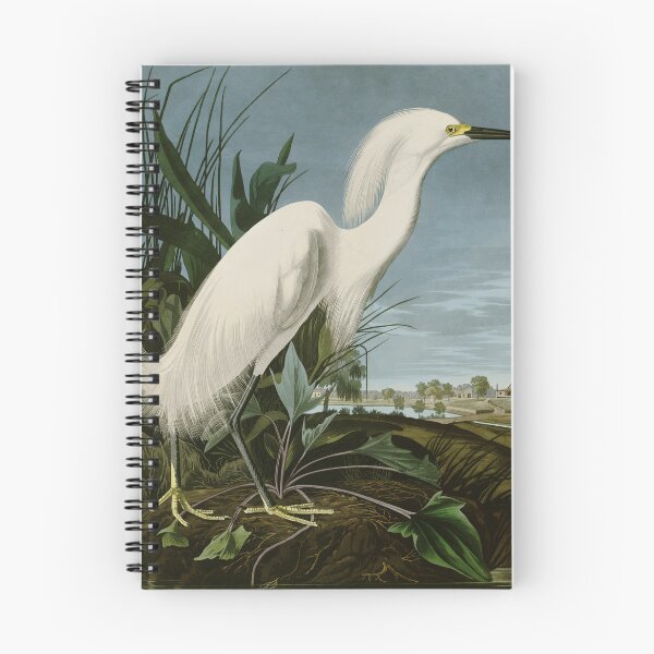 Item preview, Snowy Heron or White Egret by John James Audubon Birds of America designed and sold by Natural History Prints.