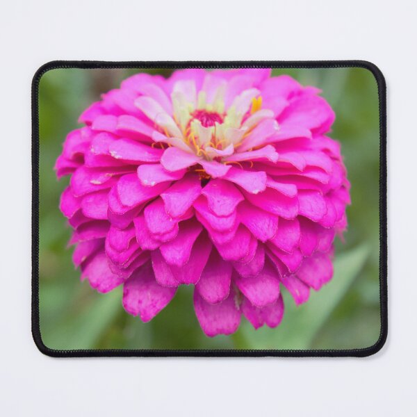 Item preview, Zinnia Variation 2 designed and sold by AliCatOriginals.