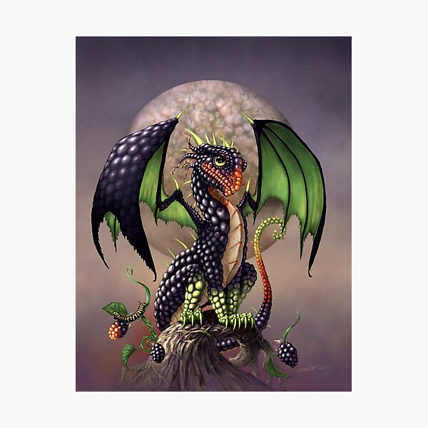 BLACKBERRY DRAGON Photographic Print