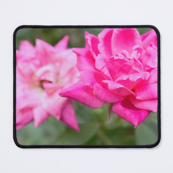 Item preview, Knockout Rose designed and sold by AliCatOriginals.