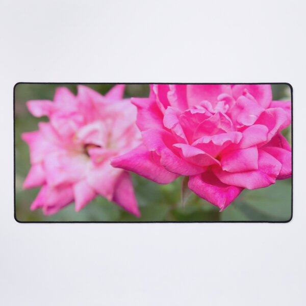 Item preview, Knockout Rose designed and sold by AliCatOriginals.