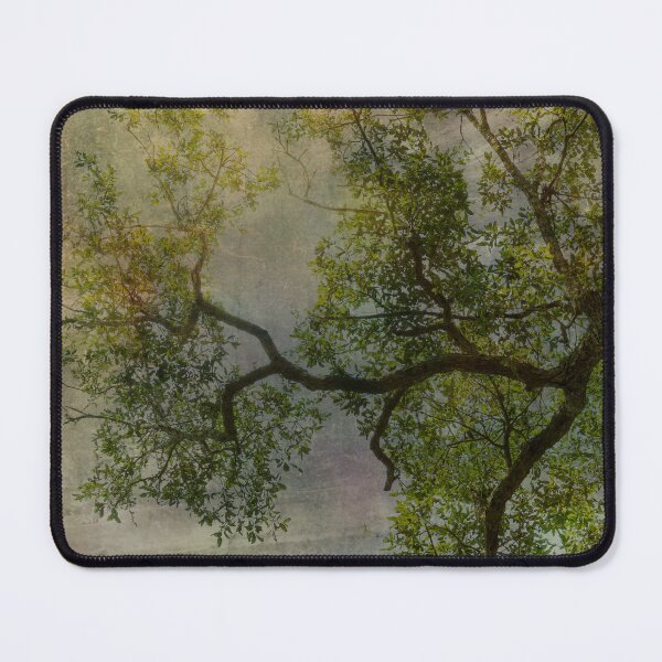 Item preview, Skyward Branches designed and sold by KbytesOfJax Outdoor and Nature.