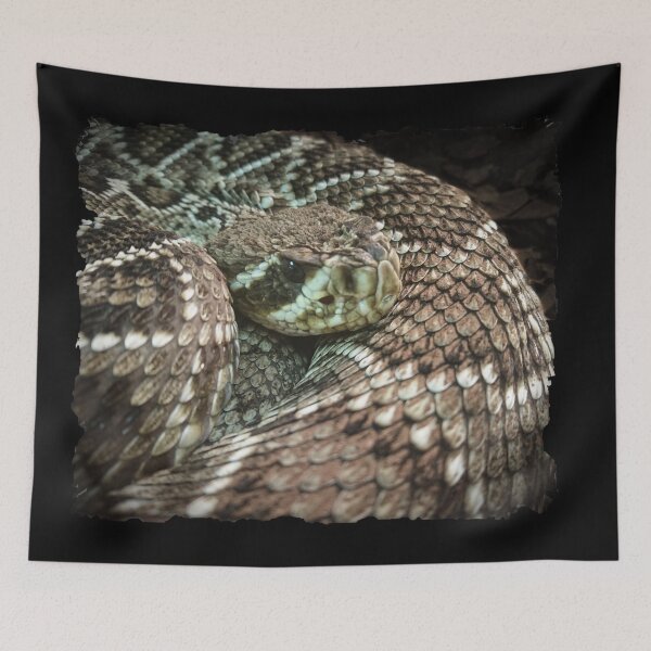 Item preview, Snake, Coiled Diamondback Rattlesnake designed and sold by Heathermarie321.