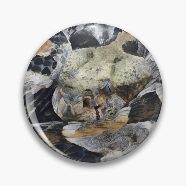 Item preview, Timber Rattlesnake designed and sold by Heathermarie321.