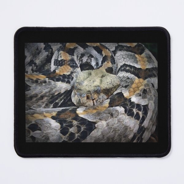 Item preview, Timber Rattlesnake designed and sold by Heathermarie321.