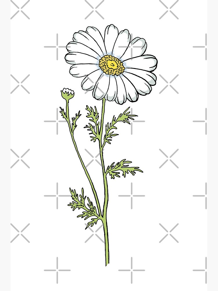 Daisy doodle | Art Board Print