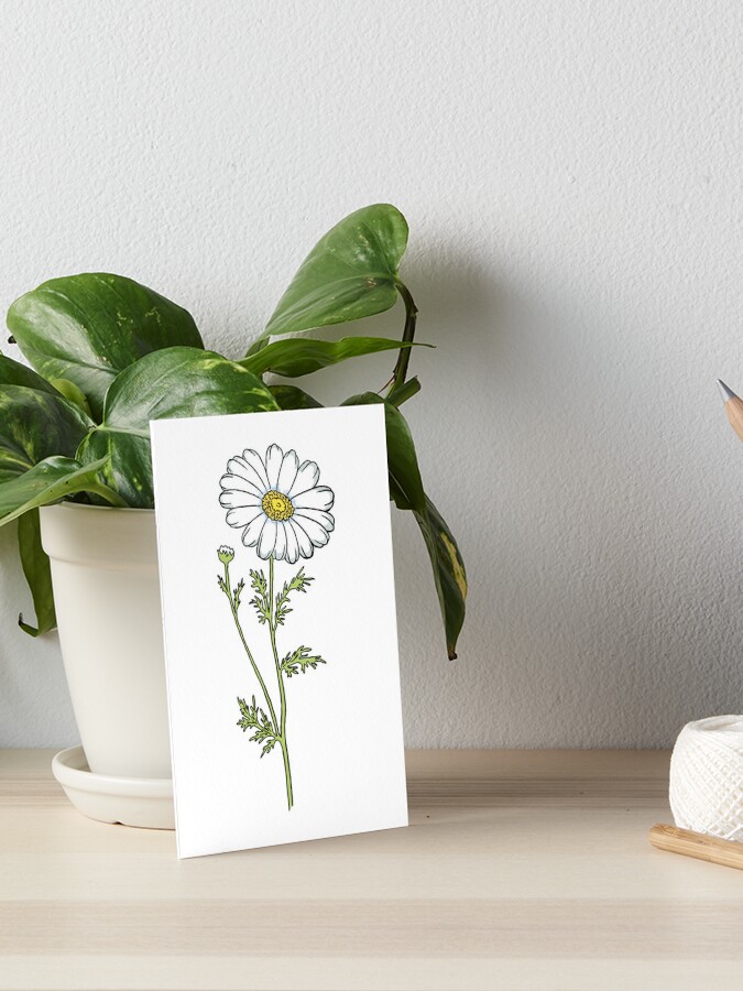 Wall Daisy Flower,home Decoration , Home Decor, White and Yellow Daisy With  Green Stem, Wall Accents, White Flower 