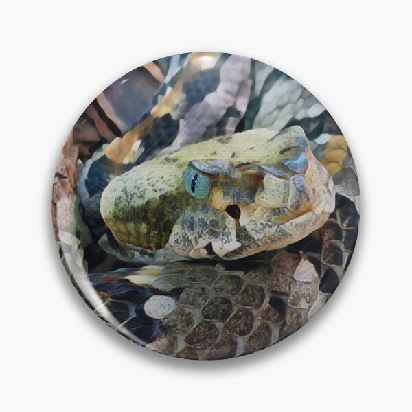 Item preview, Timber Rattlesnake Digital Painting designed and sold by Heathermarie321.