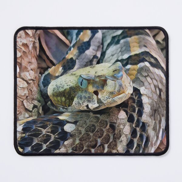 Item preview, Timber Rattlesnake Digital Painting designed and sold by Heathermarie321.