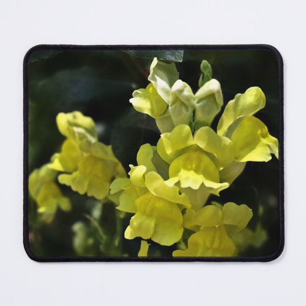 Item preview, Beautiful Yellow Snapdragon Flowers designed and sold by Heathermarie321.