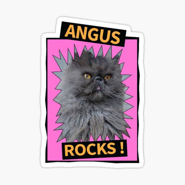 Artikel-Vorschau von Angus Rocks Katzenmem, designt und verkauft von BENJAMINWADDELL.