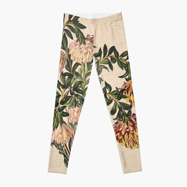 Placa vieja de Liparia sphaerica Leggings