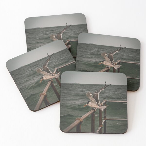 Item preview, Bird at Melbourne Pier designed and sold by Quin Hayes.