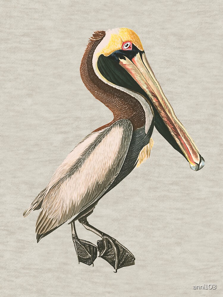 If anyone can , Pelican by anni103