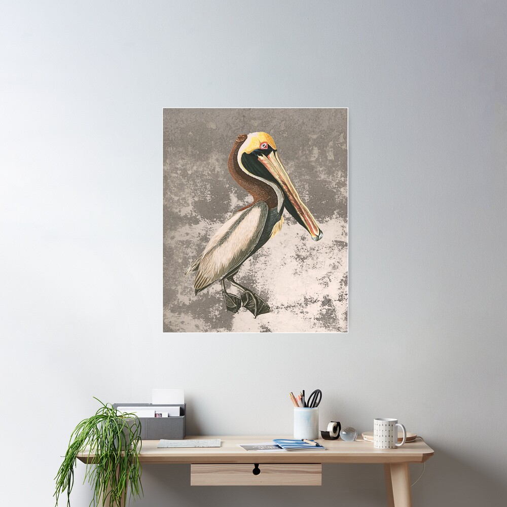 If anyone can , Pelican Poster