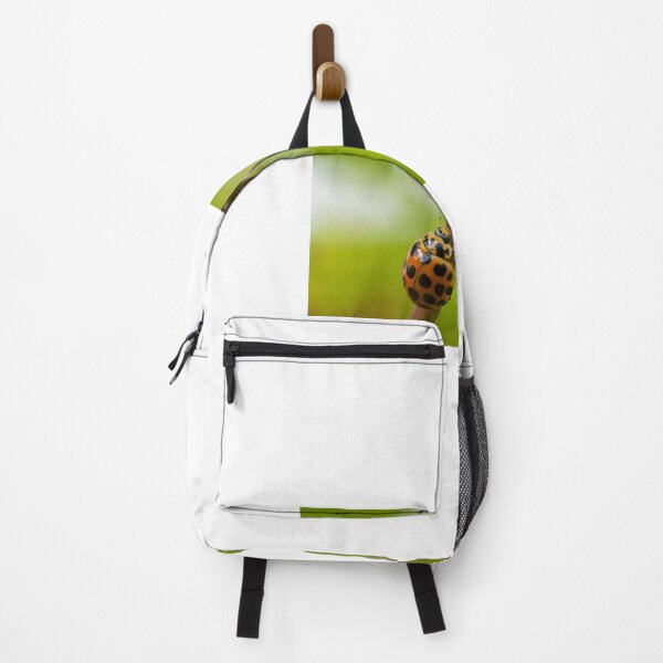 Item preview, Ladybug Climbing designed and sold by D-GaP.