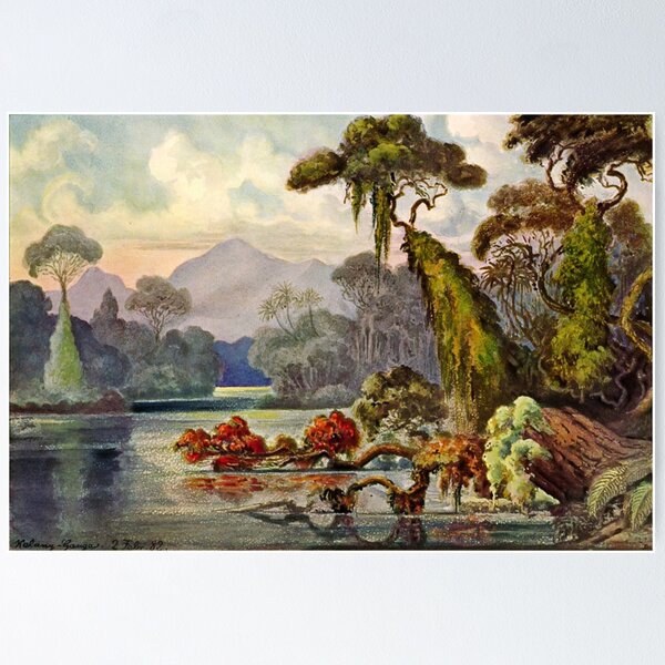 Item preview, Jungle at the Blue River Kelani-Ganga, Ceylon-Ernst Haeckel designed and sold by TeeARTHY.