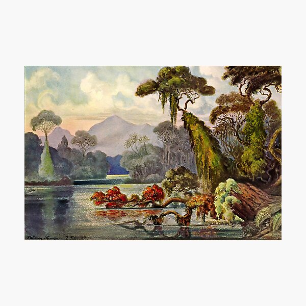 Item preview, Jungle at the Blue River Kelani-Ganga, Ceylon-Ernst Haeckel designed and sold by TeeARTHY.