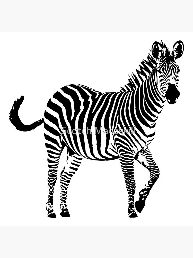 Rainbow Zebra Profile | Art Board Print