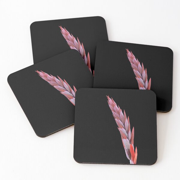 Item preview, Canna Lily flower isolated. designed and sold by snehit.