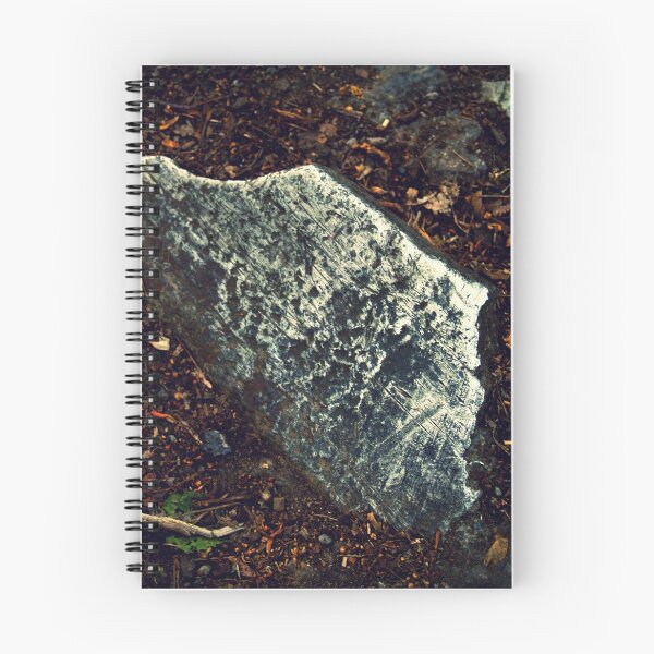 Artikelvorschau, Metall eingebettet in dem Waldboden entworfen und verkauft von delfmeunier.