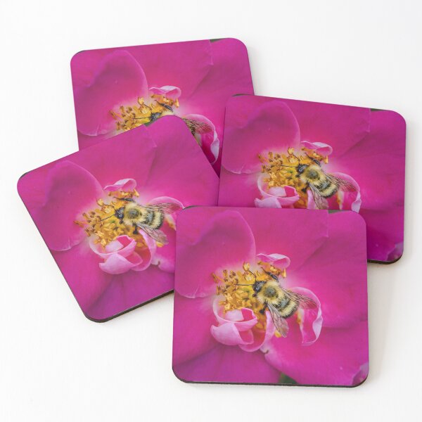 Item preview, Bee on Wild Rose - Awesome designed and sold by Paula Bund.