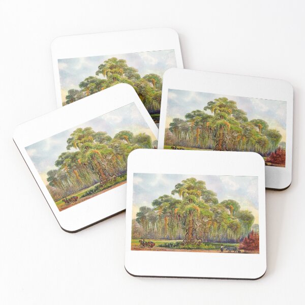 Item preview, Terminalia on Java giant tree with lianas-Ernst Haeckel designed and sold by TeeARTHY.