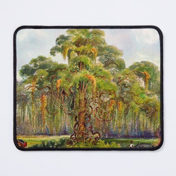 Item preview, Terminalia on Java giant tree with lianas-Ernst Haeckel designed and sold by TeeARTHY.