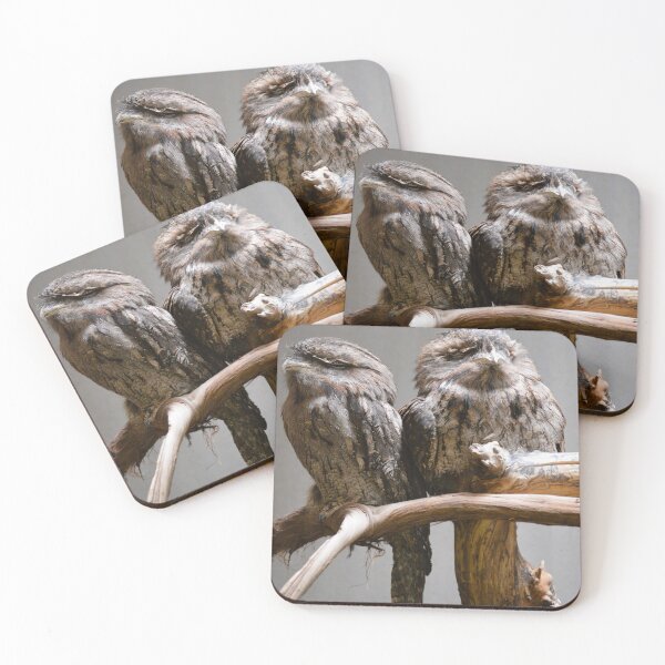 Item preview, Frogmouth designed and sold by Dacia Tomnitz.