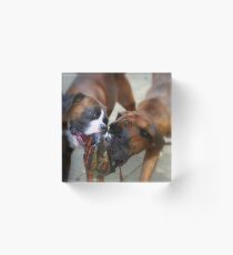 Two Dogs & One Shoe -Boxer Dogs Series- Acrylic Block
