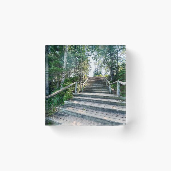 Item preview, Stairway (Prince Albert National Park) designed and sold by Nebuliz.