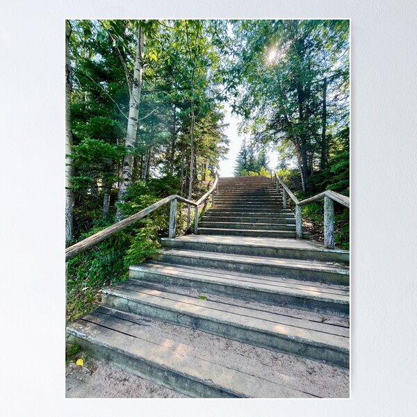 Item preview, Stairway (Prince Albert National Park) designed and sold by Nebuliz.