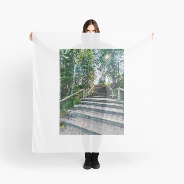 Item preview, Stairway (Prince Albert National Park) designed and sold by Nebuliz.